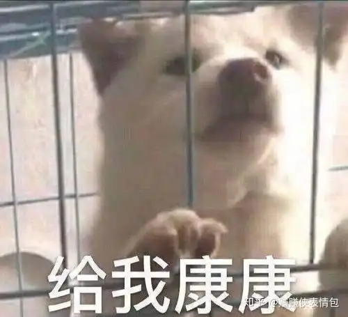 微信表情包图片最适合发朋友圈的经典找骂