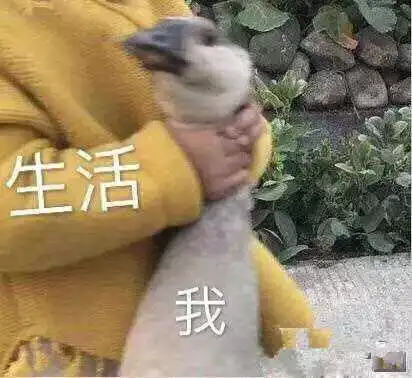 免费送iphonexsmax限时三天福州人都将涌入这个购物城
