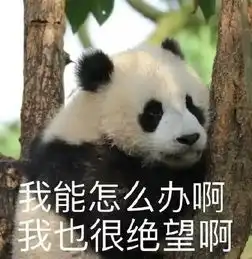 中国国宝又上北美头条松狮犬假扮熊猫差点被拘捕
