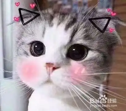 在ps中如何改变画布大小
