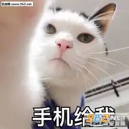 我也想做你怀中的小可爱好不好表情包你怎么傻fufu的萌猫表情包下载乐游网游戏下载
