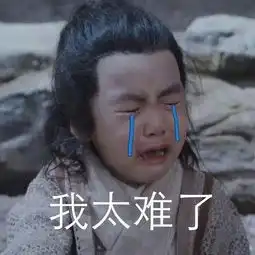 阜阳这条线居然画成这亚子司机到底咋走才不扣分

