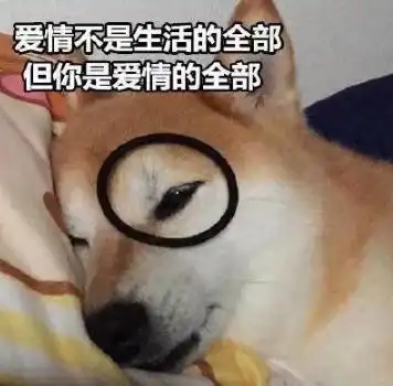 土味情话张口即来
