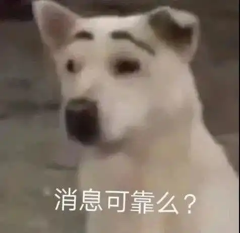 表情包,你背着我和别人排位
