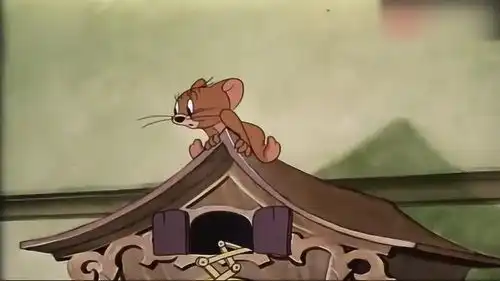 猫和老鼠汤姆猫和杰瑞最后被狗狗玩坏了
