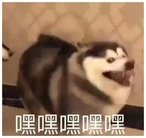 还原犯罪现场的动画究竟有多沙雕
