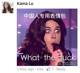 周子瑜致歉引发两岸脸书表情包大战大陆完胜组图
