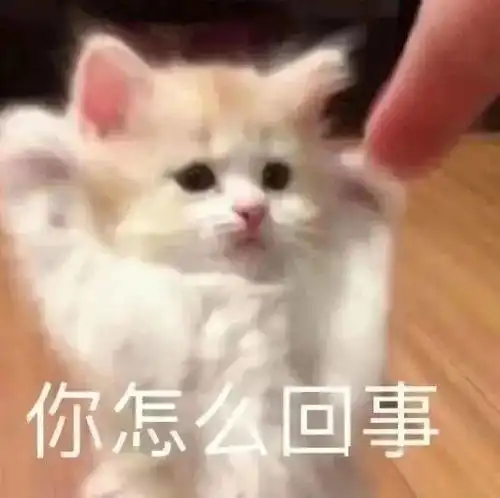 动图表情包i我裂开了
