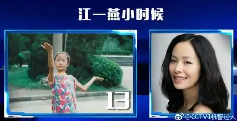 你的智商,配看哪档综艺节目
