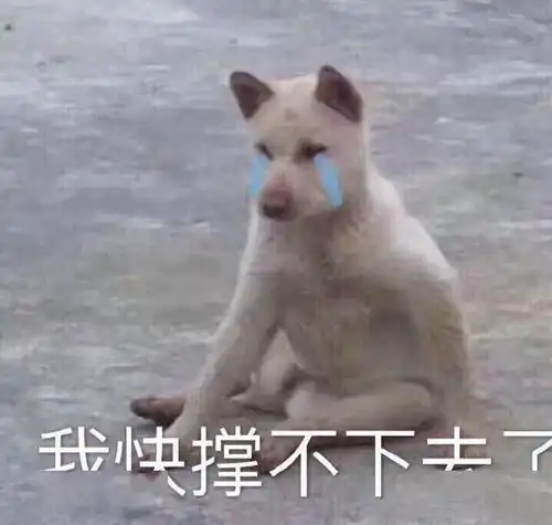 使女的故事告诉我们一个道理好剧烂尾最为致命
