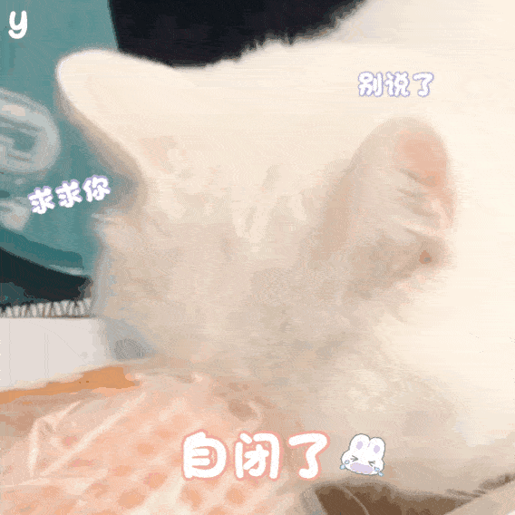玩cosplay吗我当你爸爸第285期喵表情
