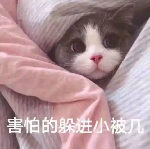 最近火了超奶思小奶猫表情包牵一下小猪猪的手好吗
