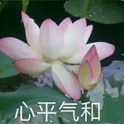 君兮染安度晚年
