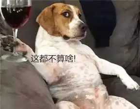 取经路上唐僧为什么不留在女儿国
