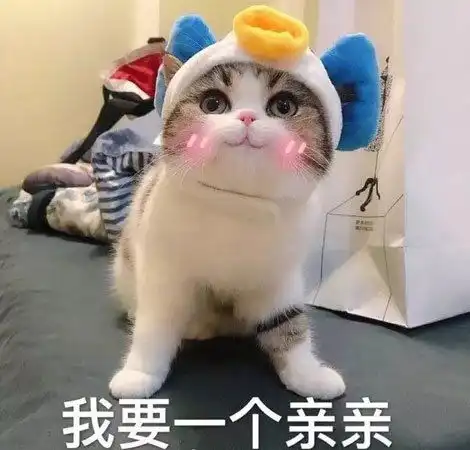 宠物gif图据说冬天留长发不怕冷是这样吗
