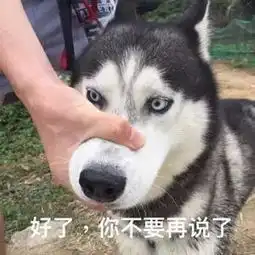 7大明星脑残言论排行周立波排名第一
