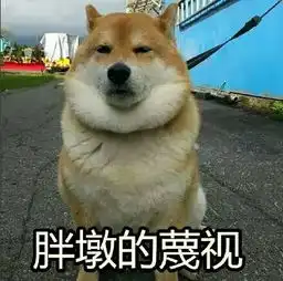 有人理我一下吗表情包
