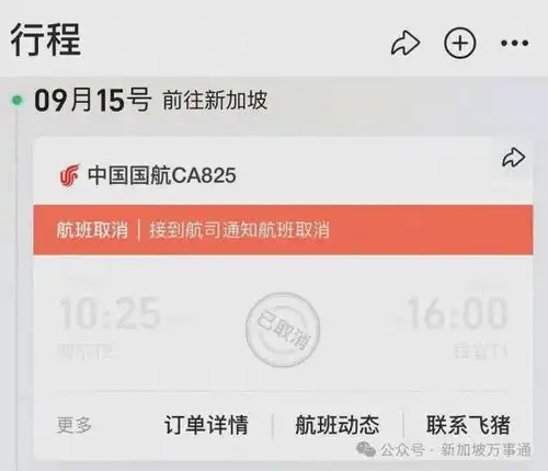 新加坡往返中国上海航班大面积取消,一大波网友被迫退票改签
