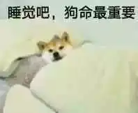 夜谈到底几点睡才算是熬夜
