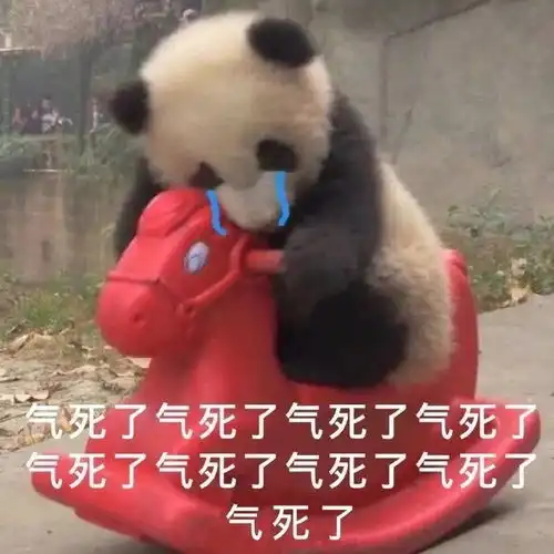 表情包图片谈恋爱找我,找别人算什么本事
