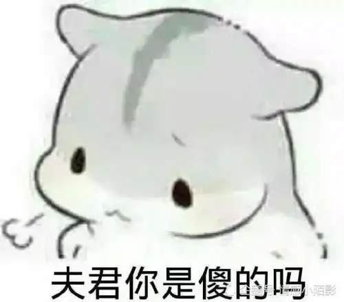 仓鼠表情包夫君君啾一个嘛
