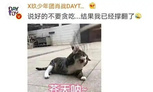 肖战,一个超爱在评论区回复表情包的顶流
