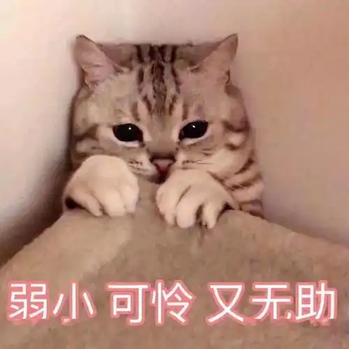 爆笑清华北大求求你们别抢了我要乐死了哈哈哈哈哈哈

