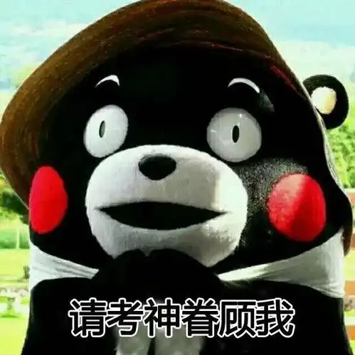 表情包有考神的眷顾,我就是不挂科
