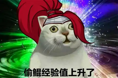 长见识王者荣耀妲己被憨憨猫吸粉,化身污妖王玩坏诸葛亮
