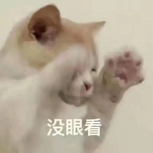 我不要在大学单身到毕业
