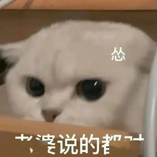 聊天必备沙雕表情包
