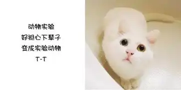 假期愉快来一组医学生表情包醒醒脑
