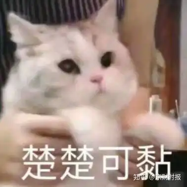 真实有用的纸尿裤测评,买的多不如用得对
