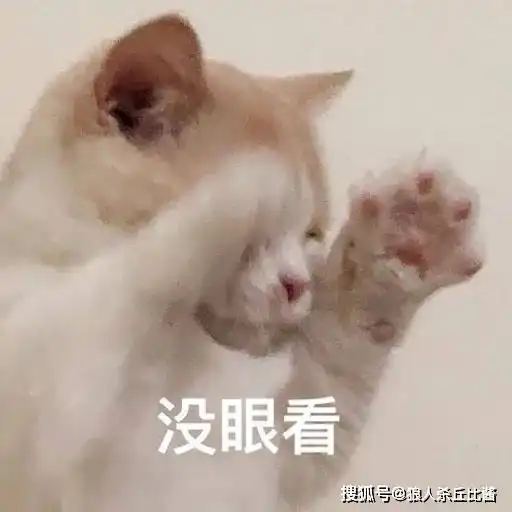当勇敢忠诚的骑士来到狼人杀世界,遇到焊跳狼,他将如何应对

