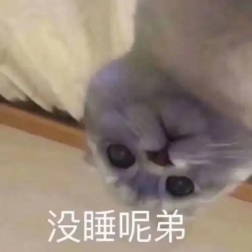 可爱小猫咪表情包为了生活低三下四
