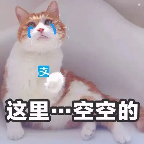 五大网红美容仪护肤神器or坑钱噱头
