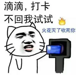 养火花造巨轮表情包
