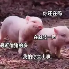 最近很火的表情包选一个,做我女朋友或者一起去爬山