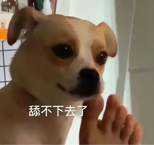 沙雕表情包第1期

