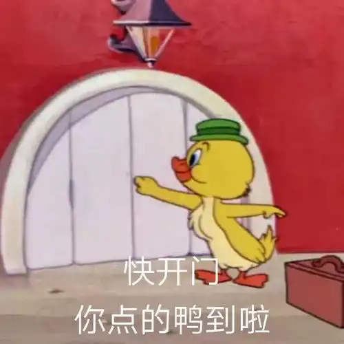 ysl恒颜,香水分装,羽绒服,猫咪冻干
