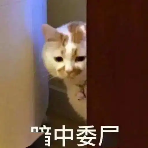 宠物医生分享最好笑的宠物名拖拉基不锈钢千斤顶
