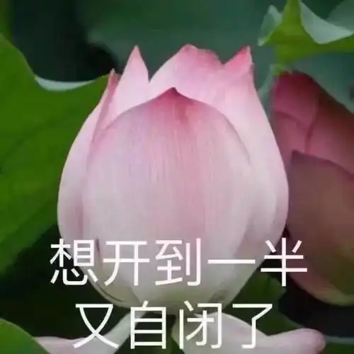气气气气死了万万没想到,这些病原来都是被气出来的
