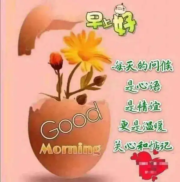 早上好正能量问候语表情包图片,好好享受生活,享受人生
