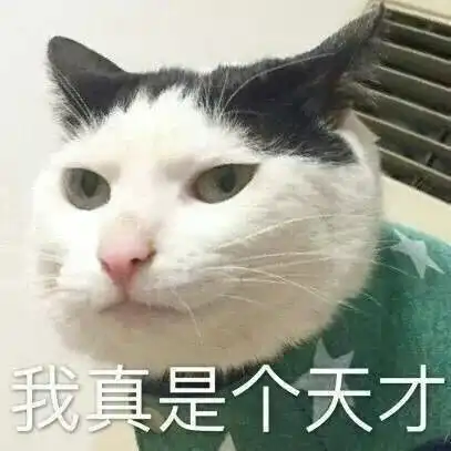 有个不正经的老师是什么体验班主任把我的证件照换成了表情包
