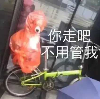 蠢狗,你在吗第196期喵表情
