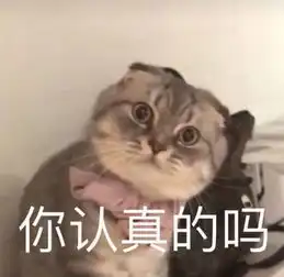 你们五一都去哪儿玩手机啊
