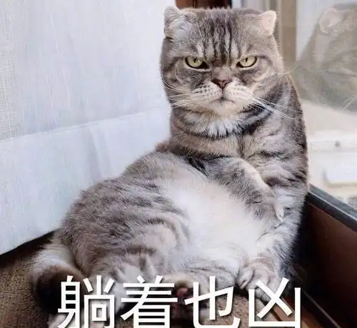 随时都在生气的霸道总裁喵,气势汹汹

