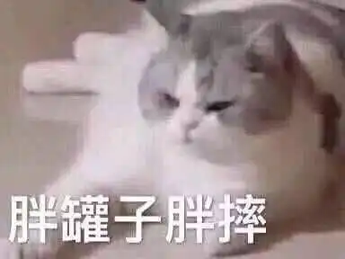 攻略不下来的男人好看吗
