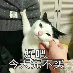 四川人太欺负人国产呕像剧尬唱又尬跳
