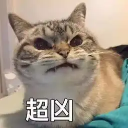 一组又萌又凶的表情包看啥看,咬你哦
